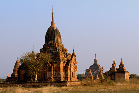 pagodas in the plain
