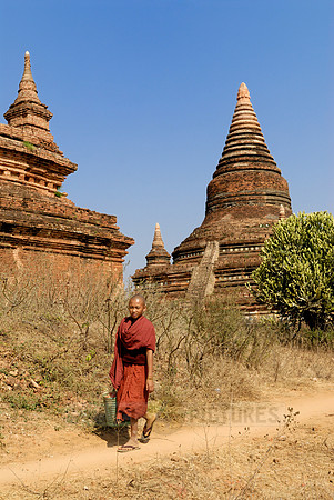 pagodas in the plain