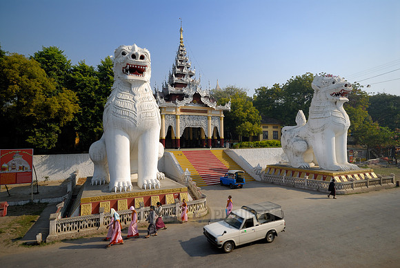 white Chintes
