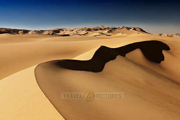 desert landscape with sand dunes