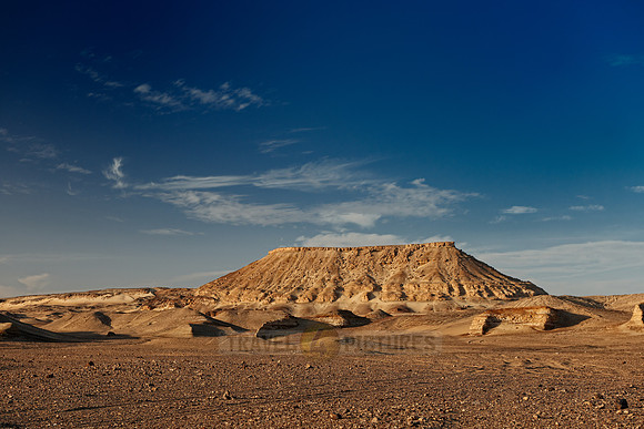 desert landscape