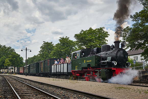 historic narrow-gauge railway