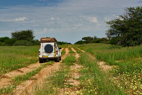 off-road on the way to Mabuasehube