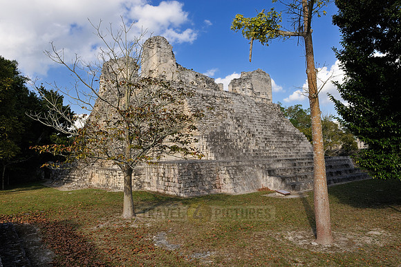 Estructura IV