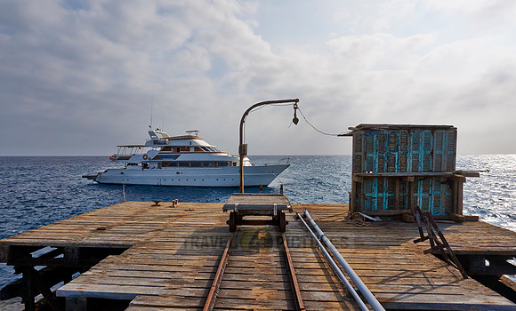 liveaboard diving cruise ship on Daedalus Reef