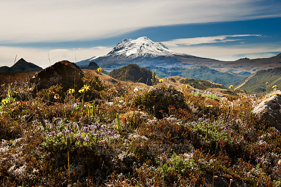 Antisana volcano