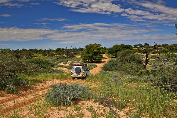 4x4 car in Mabuasehube