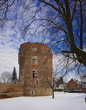 Hambach castle