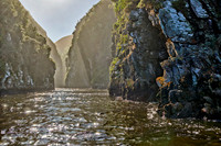 Storms River Gorge, Tsitsikamma National Park