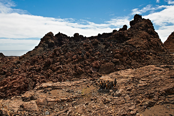 vulkanische Landschaft auf  Isla Bartolome |vulcanic landscape of Isla Bartolome|