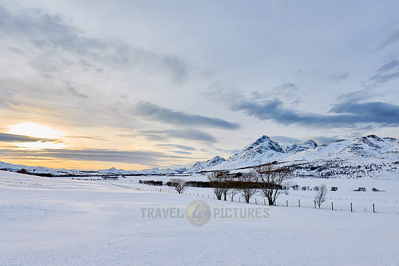 winter landscape of Vestvågøy