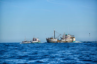 fishing vessels running out for fishing