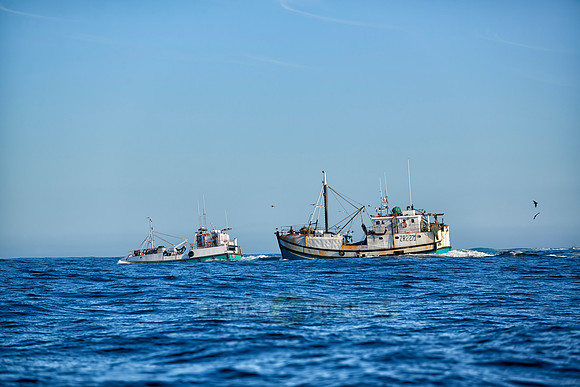 fishing vessels running out for fishing