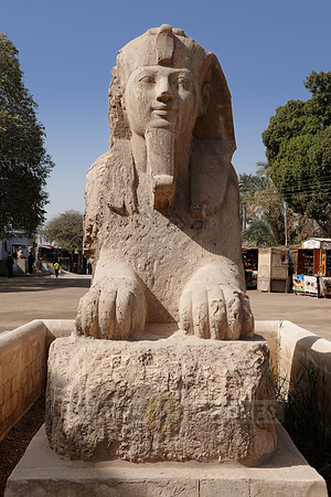 Alabaster Sphinx