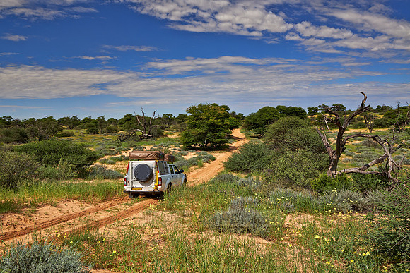 4x4 car in Mabuasehube