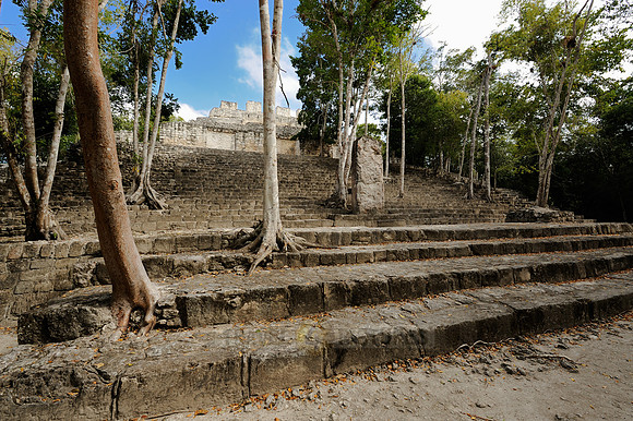 Maya Site Calakmul