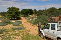 Gelaendewagen im Kgalagadi Transfrontier Park  |4x4 in Kgalagadi Transfrontier Park|