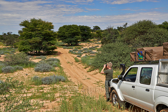 Gelaendewagen im Kgalagadi Transfrontier Park  |4x4 in Kgalagadi Transfrontier Park|