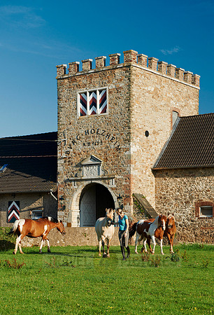 young lady with horses in front of Holzheim castle