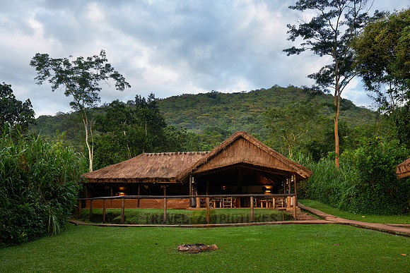 Gorilla Forest Camp