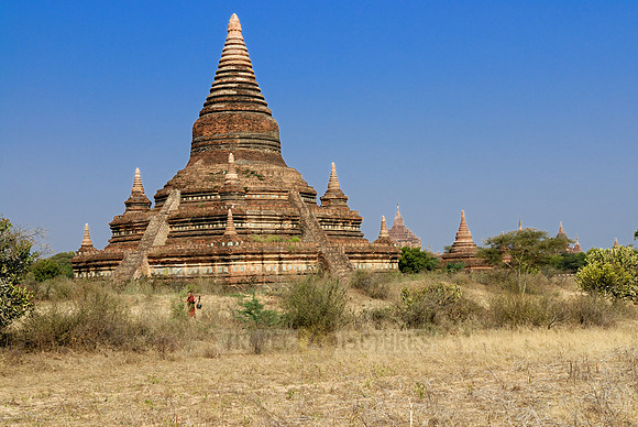 pagodas in the plain