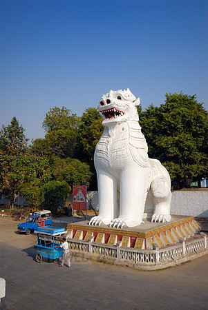 white Chintes