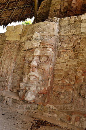 stone mask