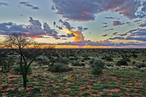 Regenwolken ueber dem Kgalagadi Transfrontier Park  |rain clouds over Kgalagadi Transfrontier Park|