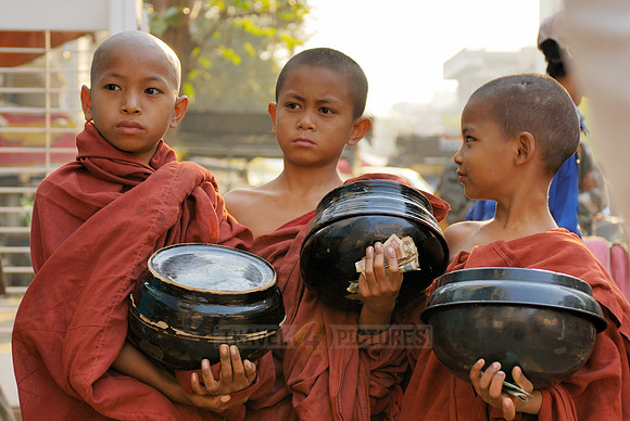 young monks