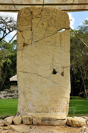 stele