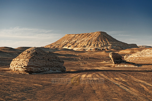desert landscape