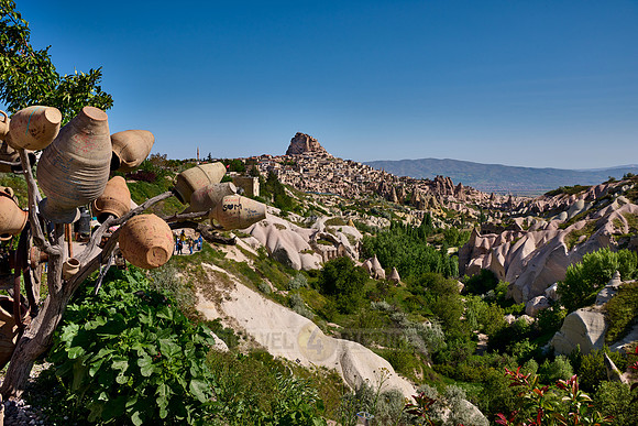view into Pigeon Valley