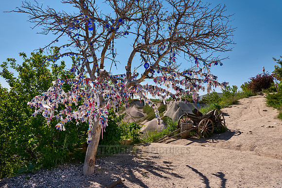 Nazar amulets or blue eyes on a tree