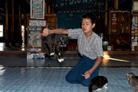 Jumping Cat in Nga Phe Kyaung Monastery
