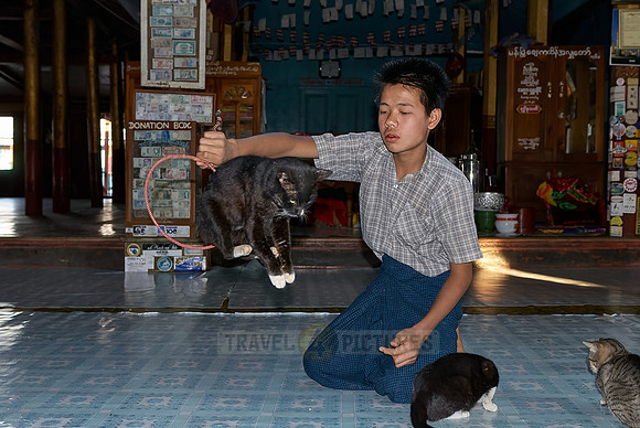 Jumping Cat in Nga Phe Kyaung Monastery