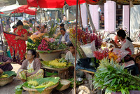Zegyo Market