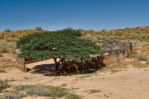 Bushmen village