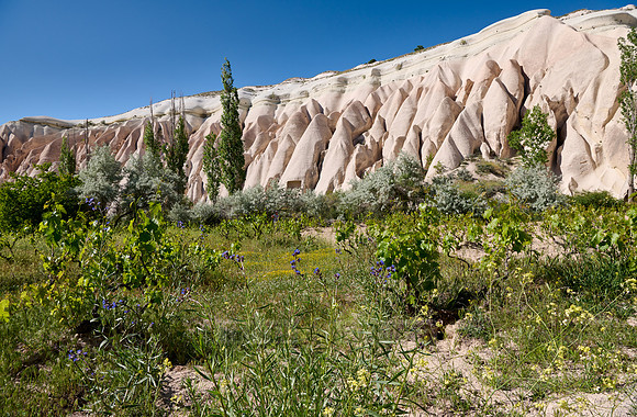 landscape of Rose Valley Goreme