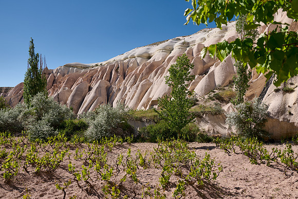 landscape of Rose Valley Goreme