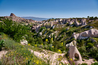 view into Pigeon Valley