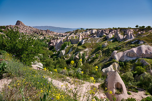 view into Pigeon Valley
