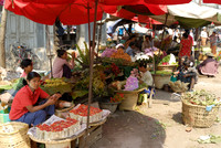 Zegyo Market