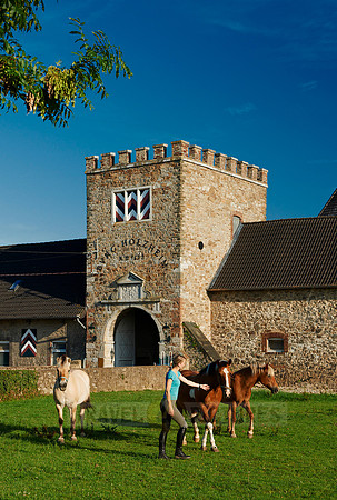 young lady with horses in front of Holzheim castle
