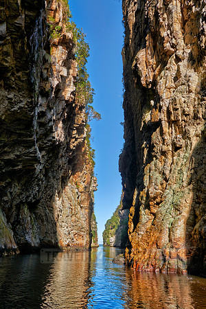Storms River Gorge, Tsitsikamma National Park