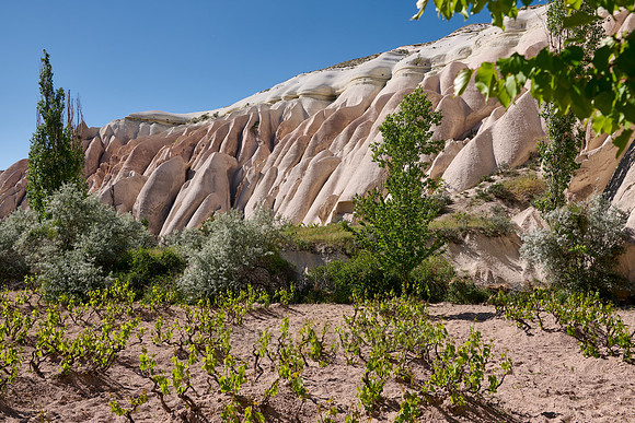 landscape of Rose Valley Goreme