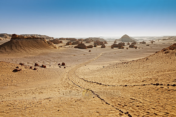 desert landscape at Wadi Hitan