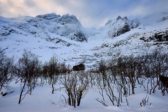 winter landscape at road to Nusfjord
