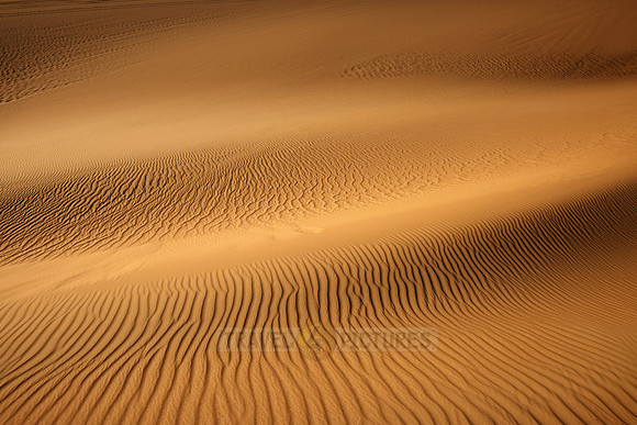 desert landscape with sand dunes