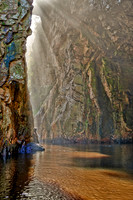 Storms River Gorge, Tsitsikamma National Park
