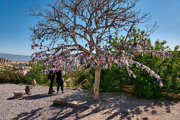 Nazar amulets or blue eyes on a tree